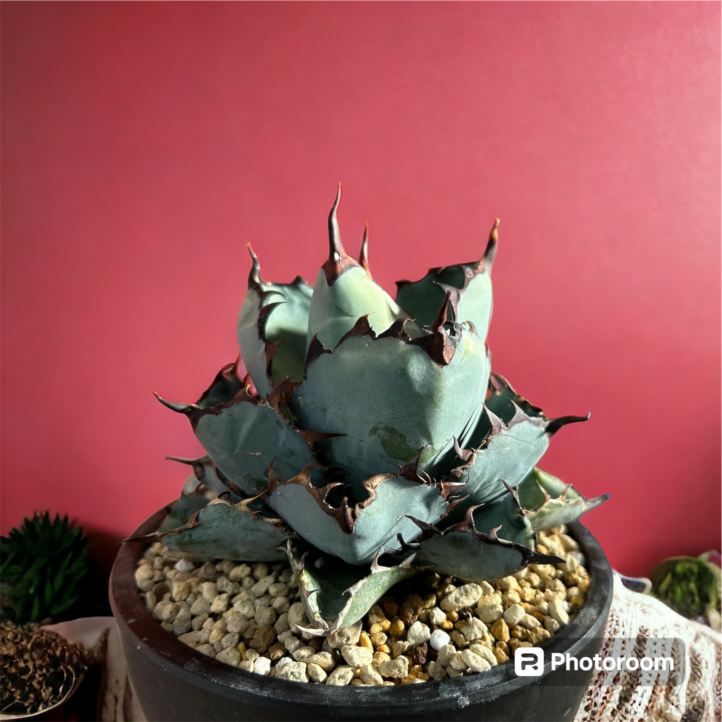 Meiアシスト株式会社 HARENOHI WORKS東成