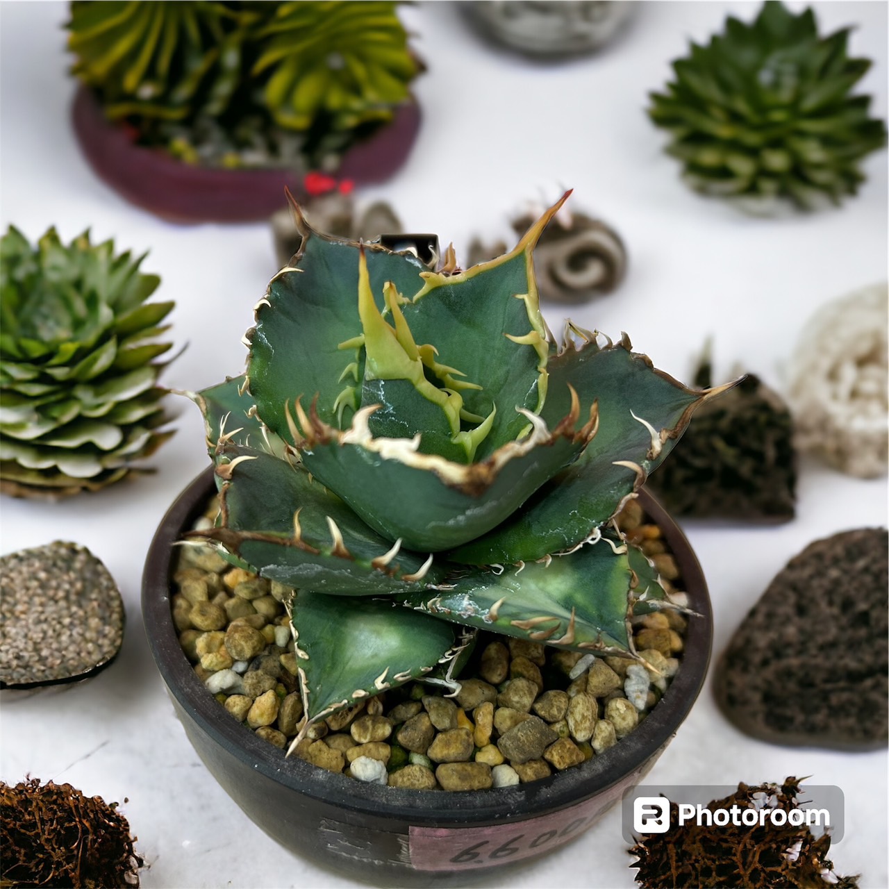 Meiアシスト株式会社 HARENOHI WORKS東成