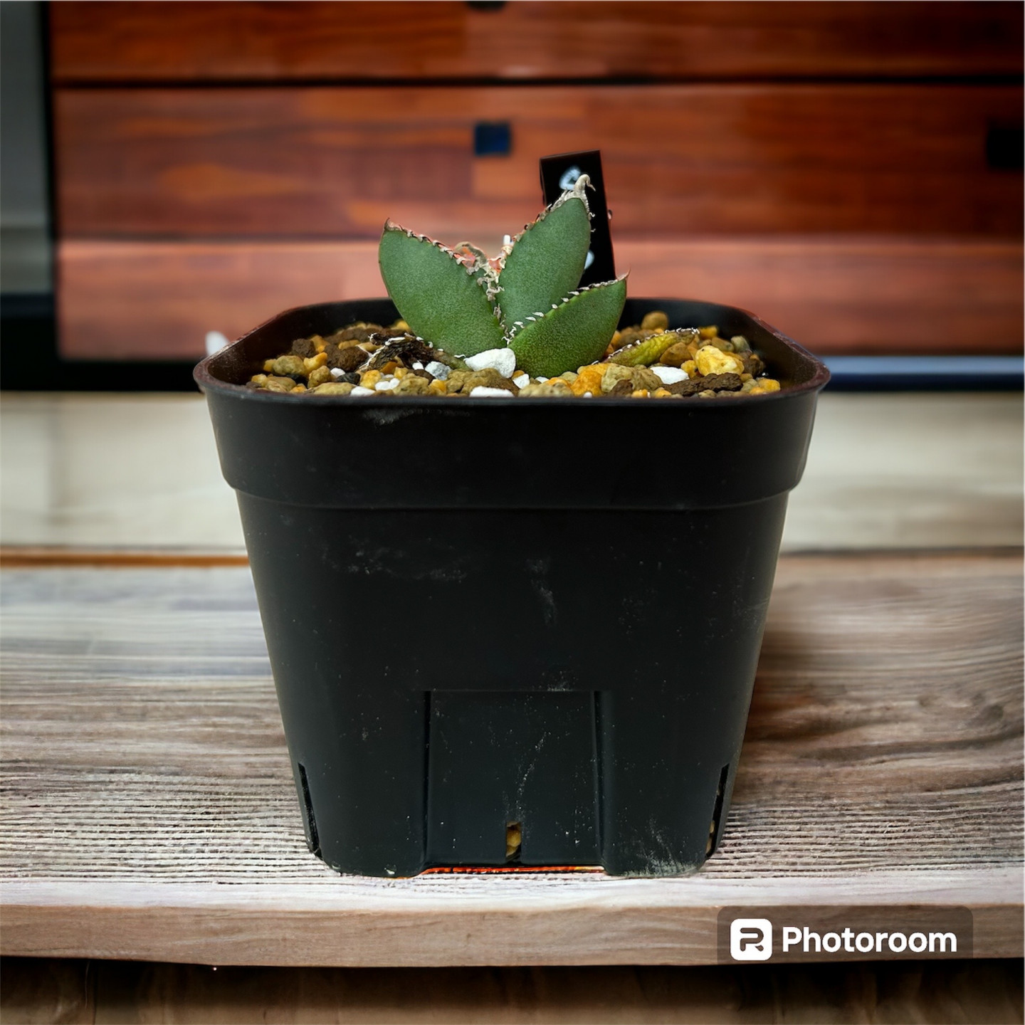 Meiアシスト株式会社 HARENOHI WORKS東成