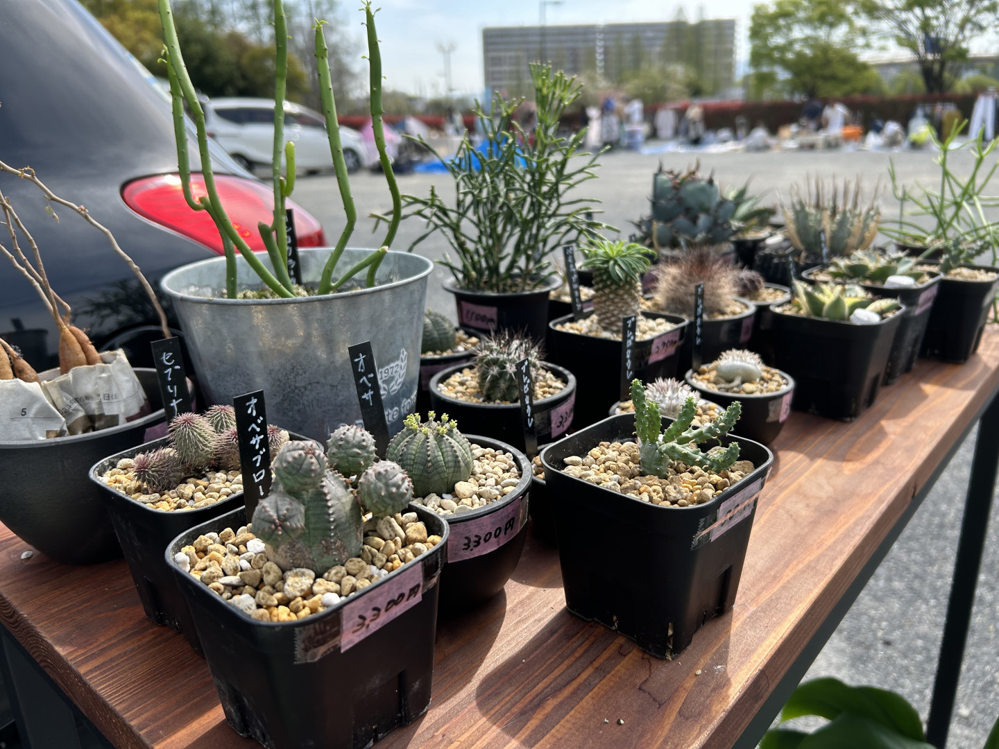 Meiアシスト株式会社 HARENOHI WORKS東成